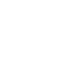 Search Optimized