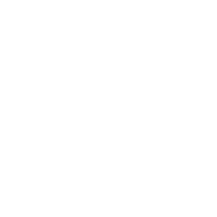 Automated Regular Backups