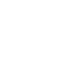 Local and Network Brute Force Protection