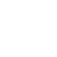 SSL Security Certificate